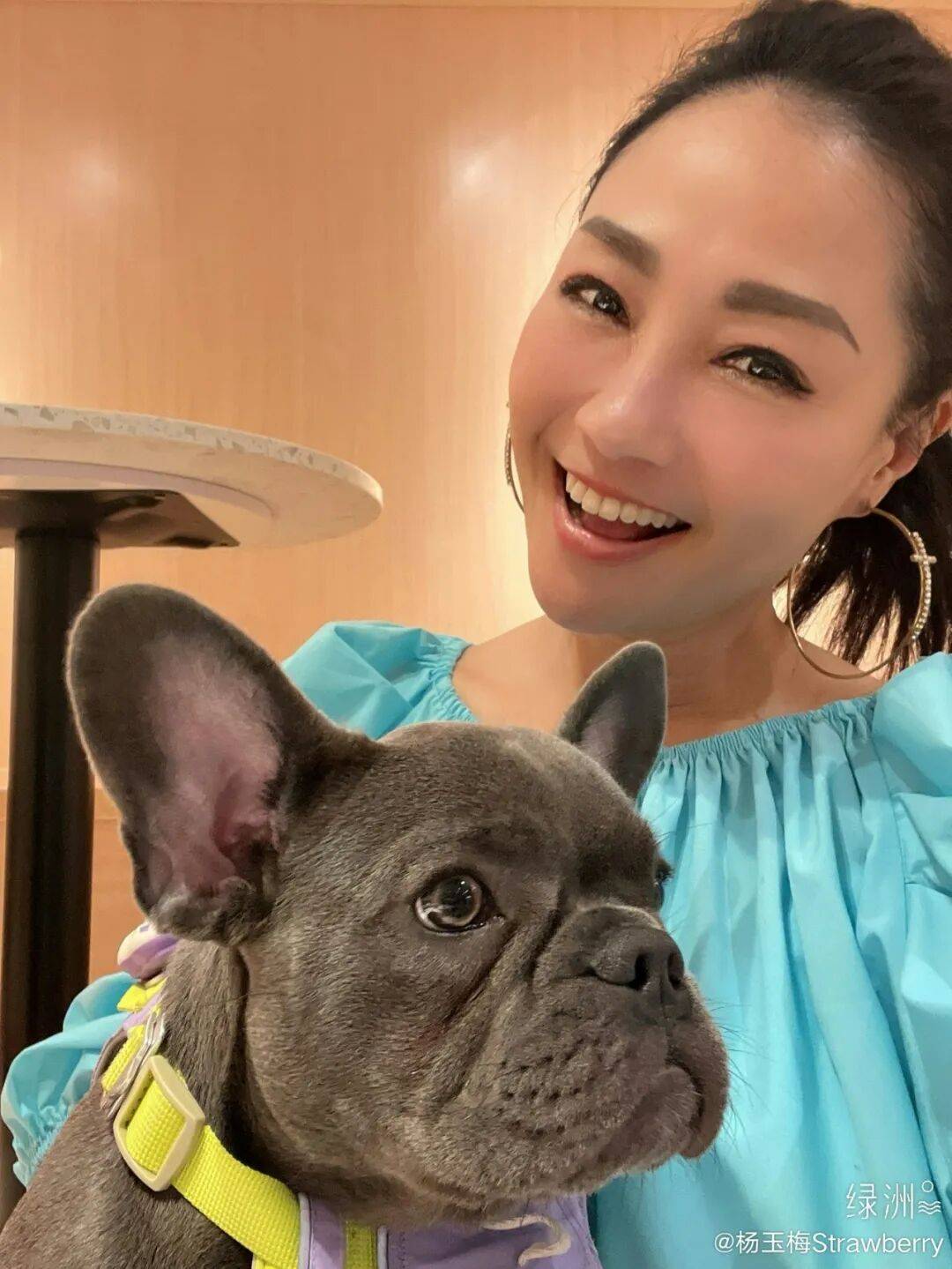 杨玉梅曝潜规则:拒绝富豪、拉黑中间人引热议