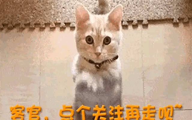 6月13号:白鹿风波持续升级圈内人再曝新情况白鹿发十万红包回馈关注者