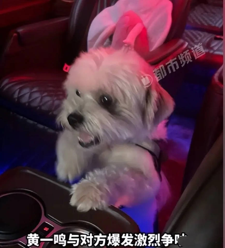 百万网红人设崩塌!前男友扒出虐狗真相