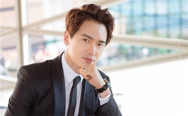 演员高云翔海外法律纠纷相关报道