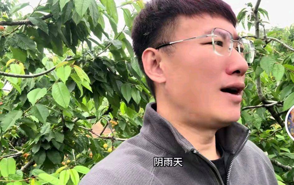 杨二狗分手费反转 网红卓越被揭底内讧